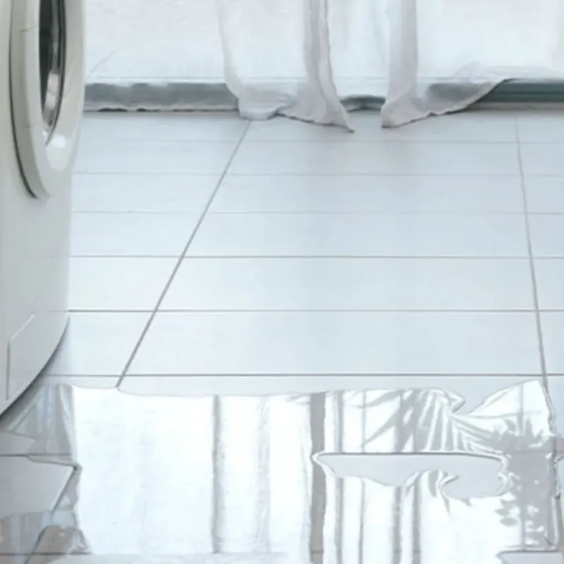 Appliance Leak Cleanup in Lakewood, IL