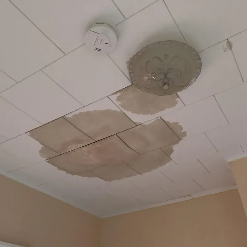 Ceiling Water Damage Repair in Lakewood, IL