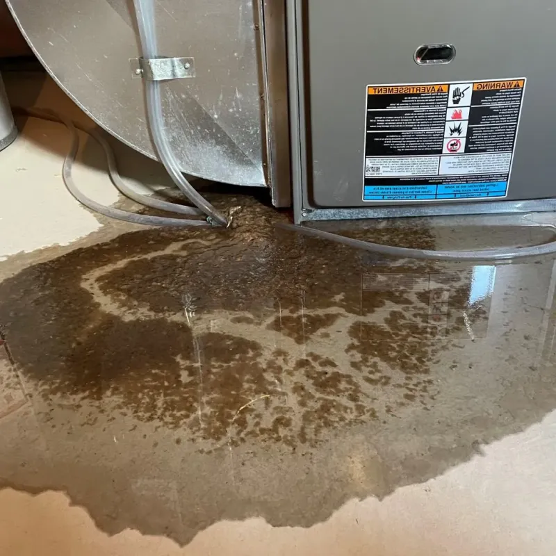 Pipe Burst and Leak Restoration in Lakewood, IL